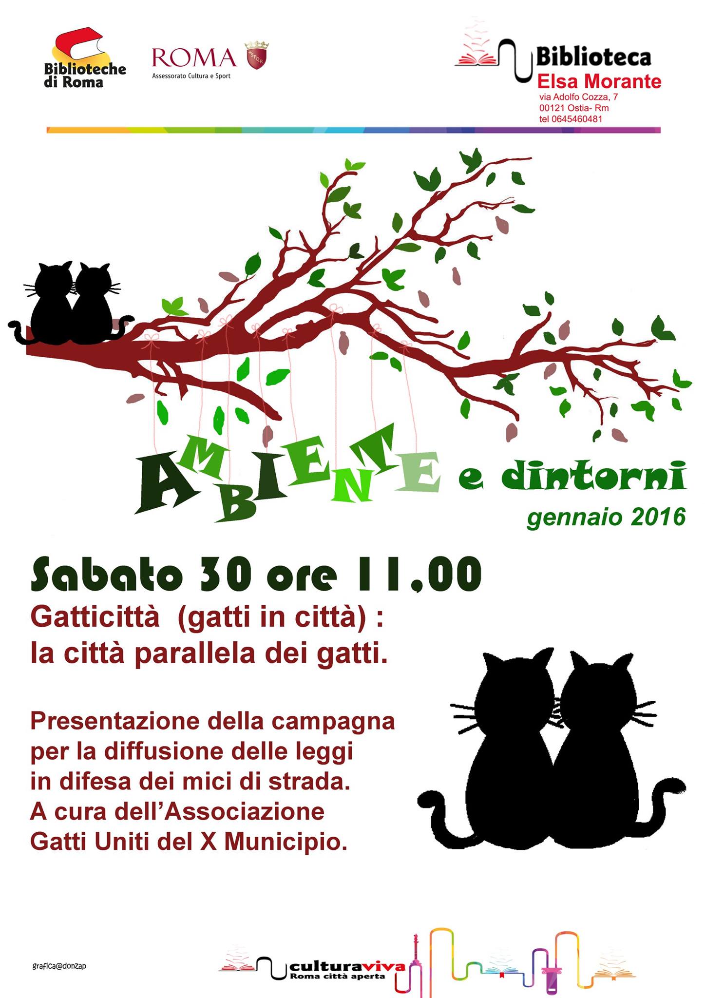 Leggi sui gatti, Biblioteca Elsa Morante