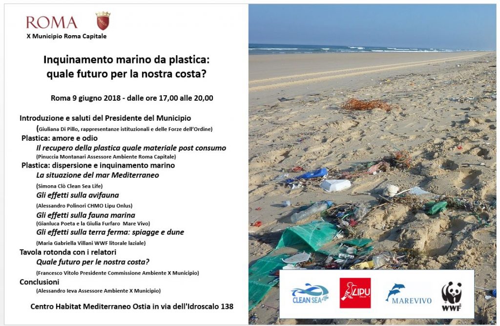 Inquinamento marino da plastica