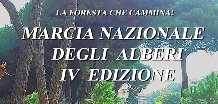 Marcia degli Alberi