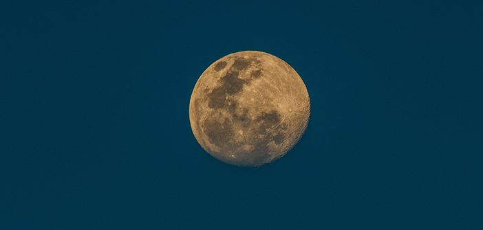 La notte della luna Palidoro