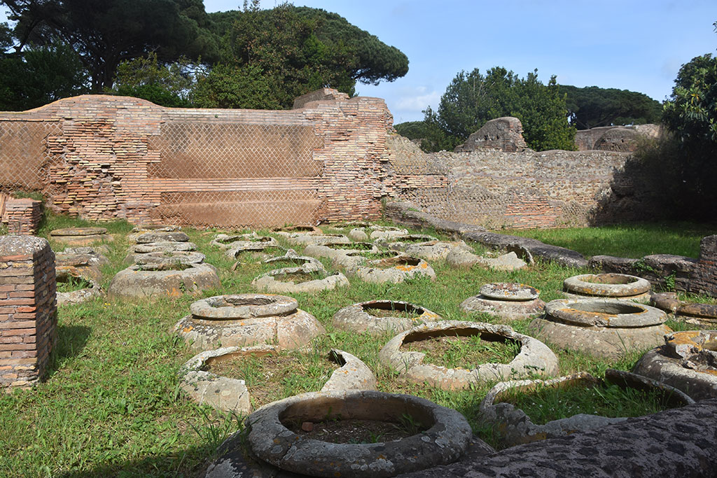 Progetto ISCIX, Spazi all'Arte, Visita agli scavi