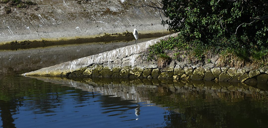 Stagno di Ostia